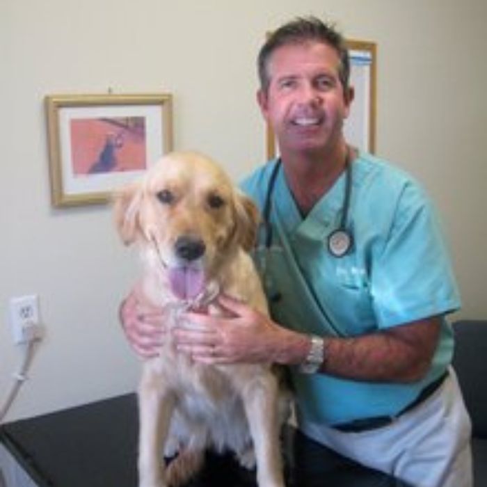 Clinton Twp, MI 48035 Veterinarians | Patterson Veterinary Hospital