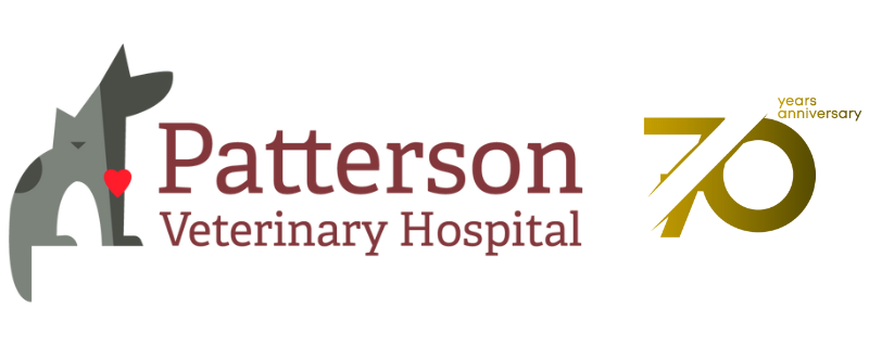 Best Veterinary Hospital In Clinton Twp, MI | Patterson