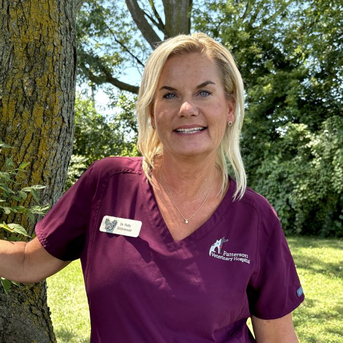 Dr. Hildebrand